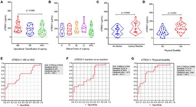 sTREM-1 and TNF-α levels are associated with the clinical outcome of leprosy patients